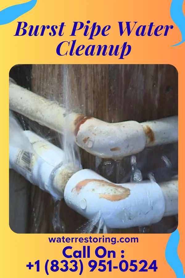 Burst Pipe Water Cleanup in Croom, MD
