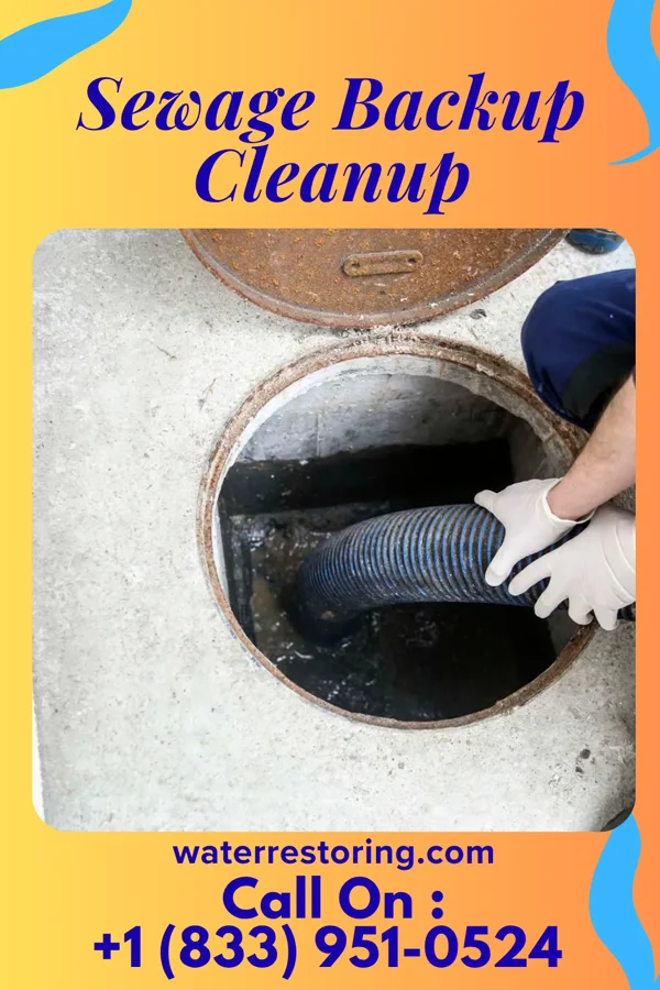 Sewage Backup Cleanup in Croom, MD