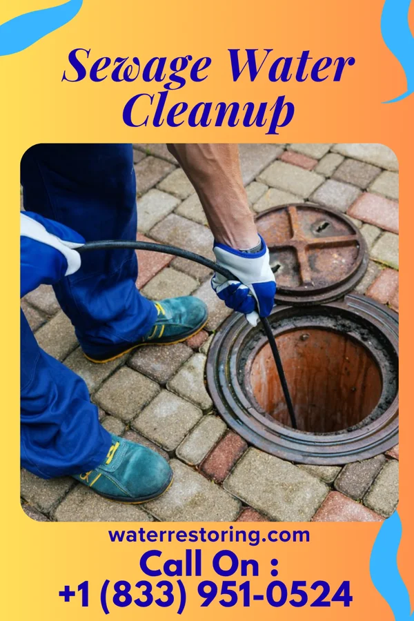 Sewage Water Cleanup in Croom, MD
